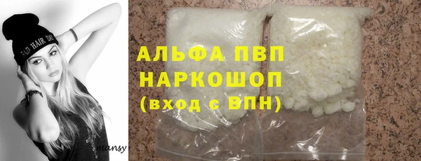 дживик Ельня