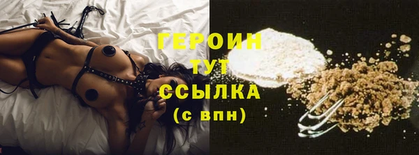 дживик Ельня