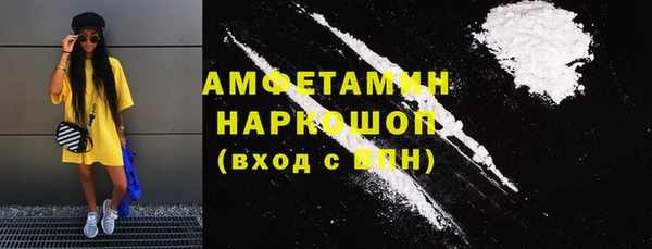 дживик Ельня