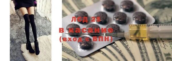 дживик Ельня