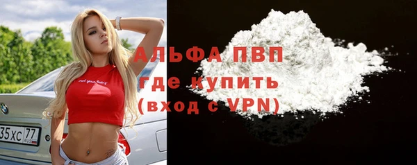 стафф Елизово