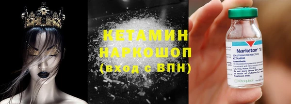 дживик Ельня