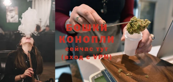 стафф Елизово