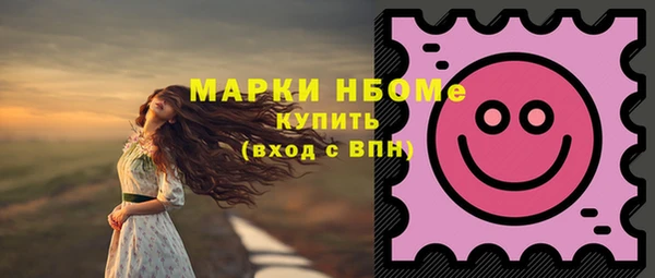 мет Елабуга