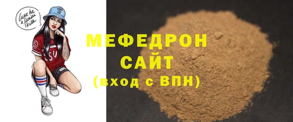 дживик Ельня