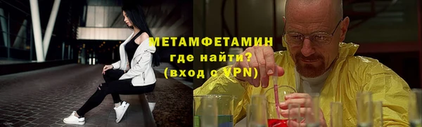 дживик Ельня