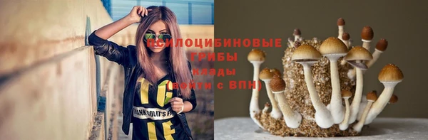 дживик Ельня