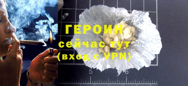 дживик Ельня