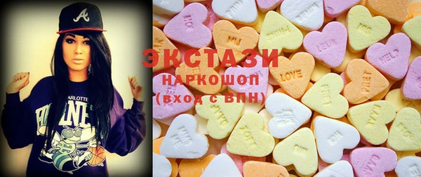 дживик Ельня