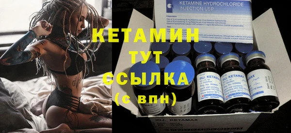 дживик Ельня