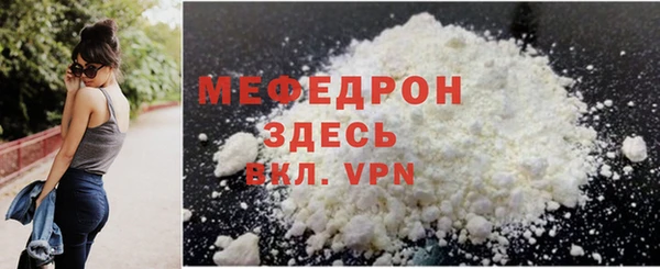 дживик Ельня
