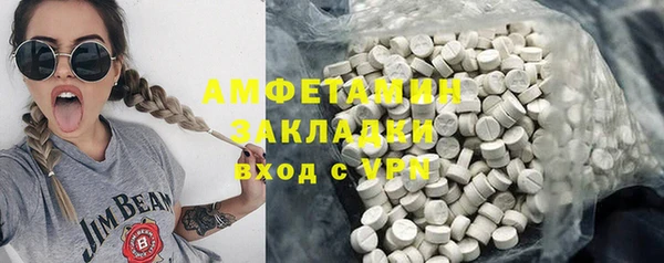 дживик Ельня