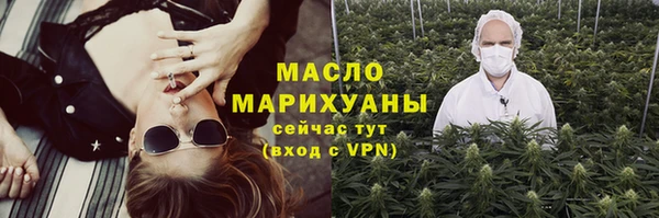 дживик Ельня