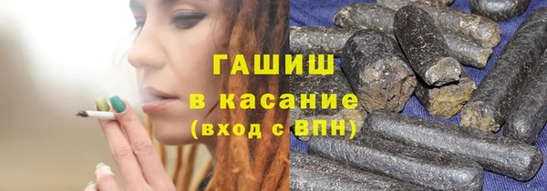 стафф Елизово